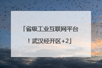 省级工业互联网平台！武汉经开区+2