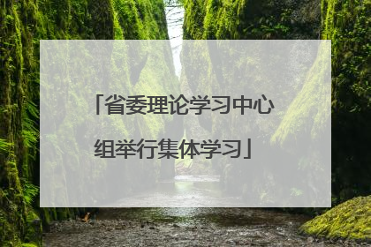 省委理论学习中心组举行集体学习