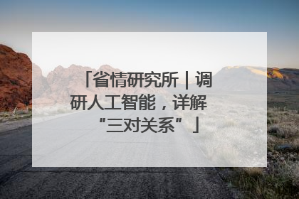 省情研究所｜调研人工智能，详解“三对关系”