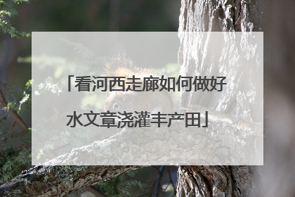 看河西走廊如何做好水文章浇灌丰产田