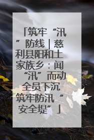 筑牢“汛”防线｜慈利县阳和土家族乡：闻“汛”而动 全员下沉筑牢防汛“安全堤”
