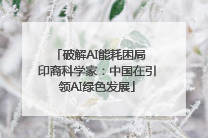破解AI能耗困局 印裔科学家：中国在引领AI绿色发展
