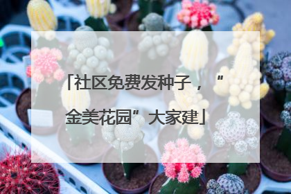 社区免费发种子，“金美花园”大家建