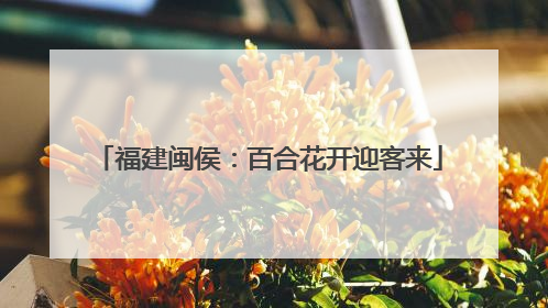 福建闽侯：百合花开迎客来