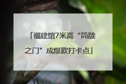 福建馆7米高“简牍之门”成爆款打卡点