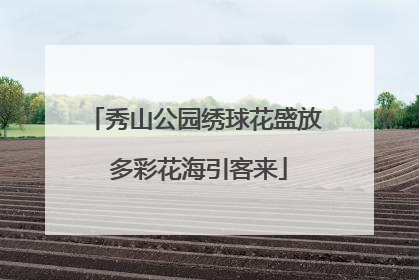 秀山公园绣球花盛放 多彩花海引客来