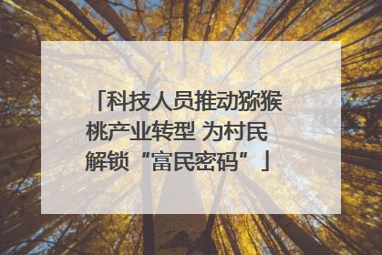 科技人员推动猕猴桃产业转型 为村民解锁“富民密码”