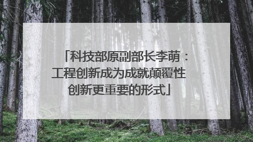 科技部原副部长李萌：工程创新成为成就颠覆性创新更重要的形式