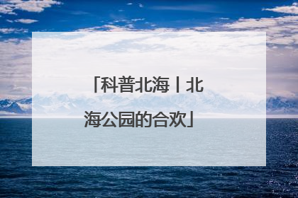 科普北海丨北海公园的合欢