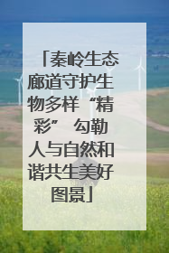 秦岭生态廊道守护生物多样“精彩” 勾勒人与自然和谐共生美好图景
