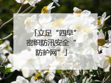 立足“四早”密织防汛安全“防护网”