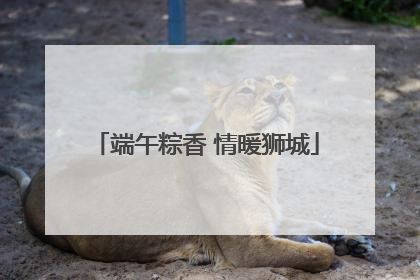 端午粽香 情暖狮城