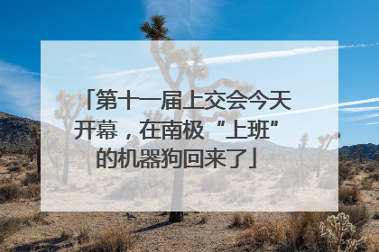 第十一届上交会今天开幕，在南极“上班”的机器狗回来了
