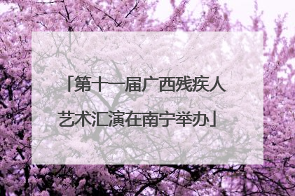 第十一届广西残疾人艺术汇演在南宁举办