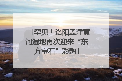 罕见！洛阳孟津黄河湿地再次迎来“东方宝石”彩鹮