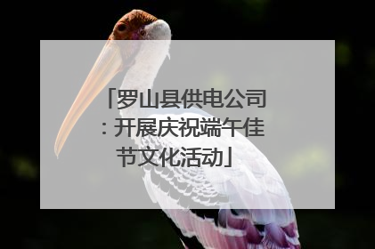 罗山县供电公司：开展庆祝端午佳节文化活动