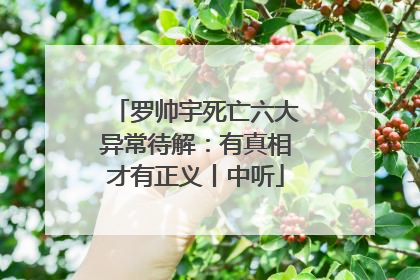 罗帅宇死亡六大异常待解：有真相才有正义丨中听