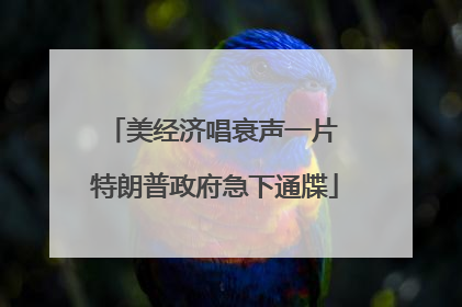 美经济唱衰声一片 特朗普政府急下通牒