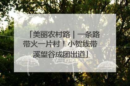 美丽农村路｜一条路带火一片村！小贺线带溪望谷成团出道