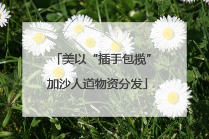 美以“插手包揽”加沙人道物资分发