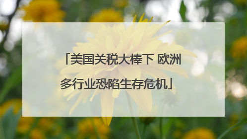 美国关税大棒下 欧洲多行业恐陷生存危机