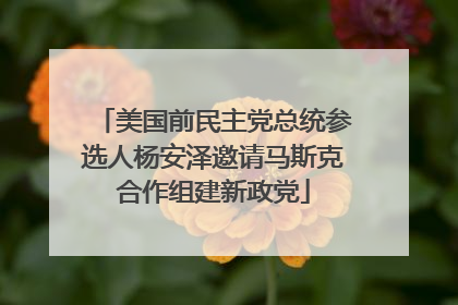 美国前民主党总统参选人杨安泽邀请马斯克合作组建新政党
