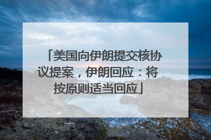 美国向伊朗提交核协议提案，伊朗回应：将按原则适当回应