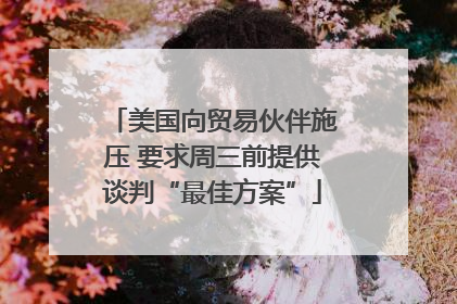 美国向贸易伙伴施压 要求周三前提供谈判“最佳方案”