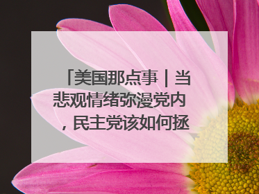 美国那点事｜当悲观情绪弥漫党内，民主党该如何拯救自己？
