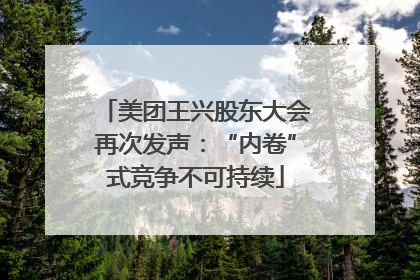 美团王兴股东大会再次发声：“内卷”式竞争不可持续