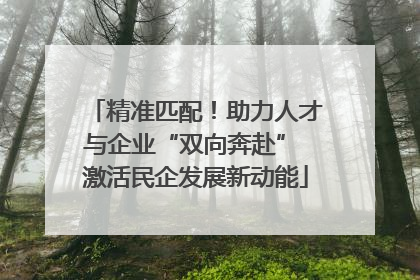 精准匹配！助力人才与企业“双向奔赴” 激活民企发展新动能