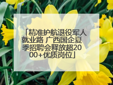 精准护航退役军人就业路 广西国企夏季招聘会释放超2000+优质岗位