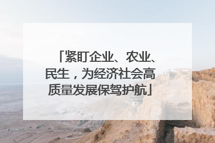 紧盯企业、农业、民生，为经济社会高质量发展保驾护航