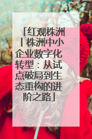 红观株洲丨株洲中小企业数字化转型：从试点破局到生态重构的进阶之路