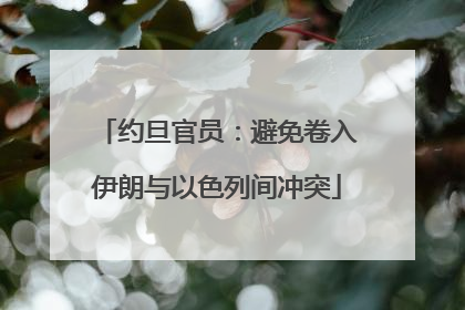 约旦官员：避免卷入伊朗与以色列间冲突