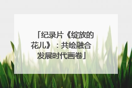 纪录片《绽放的花儿》：共绘融合发展时代画卷