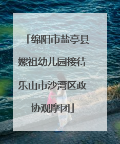绵阳市盐亭县嫘祖幼儿园接待乐山市沙湾区政协观摩团