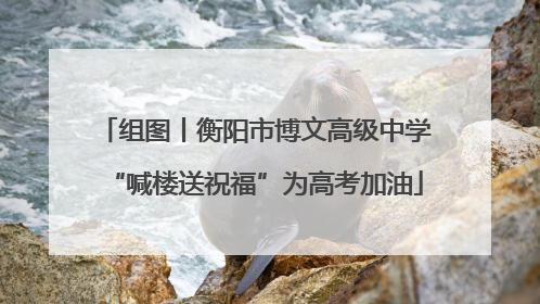 组图丨衡阳市博文高级中学“喊楼送祝福”为高考加油
