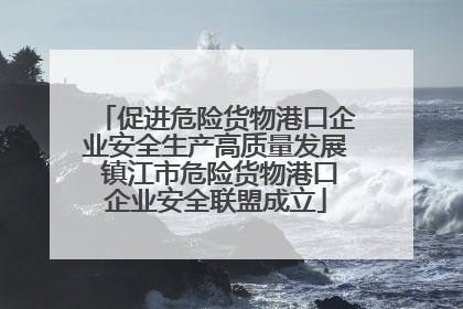 促进危险货物港口企业安全生产高质量发展 镇江市危险货物港口企业安全联盟成立