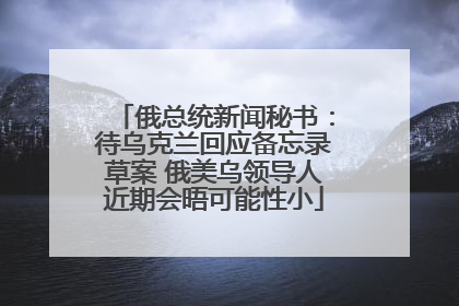 俄总统新闻秘书：待乌克兰回应备忘录草案 俄美乌领导人近期会晤可能性小