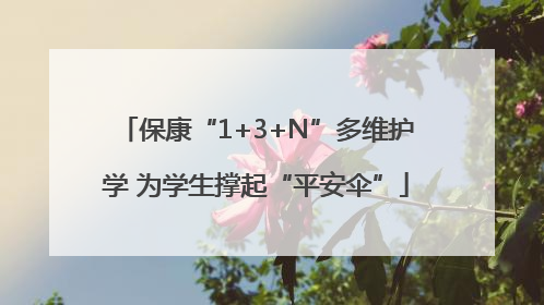 保康“1+3+N”多维护学 为学生撑起“平安伞”