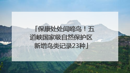 保康处处闻啼鸟！五道峡国家级自然保护区新增鸟类记录23种