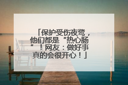 保护受伤夜鹭，他们都是“热心肠”！网友：做好事真的会很开心！