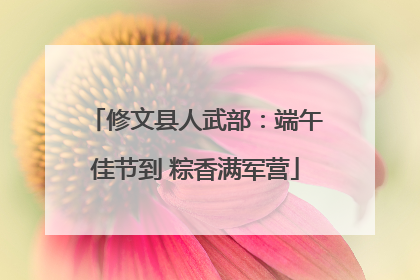 修文县人武部：端午佳节到 粽香满军营