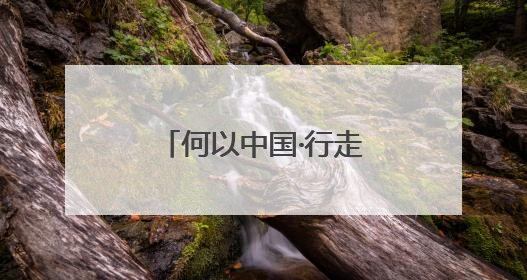 何以中国·行走海南｜侨校飘茶香 职教新发展