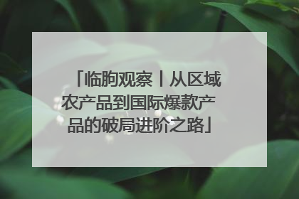 临朐观察丨从区域农产品到国际爆款产品的破局进阶之路