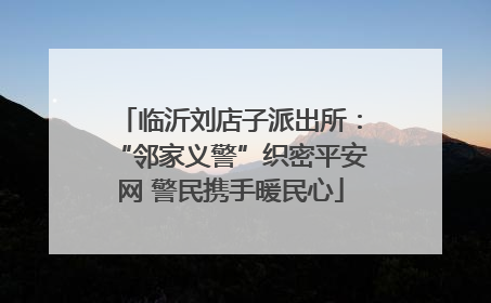 临沂刘店子派出所：“邻家义警”织密平安网 警民携手暖民心