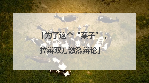 为了这个“案子”，控辩双方激烈辩论
