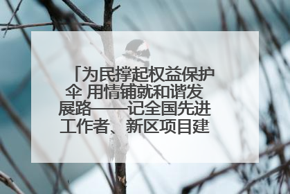 为民撑起权益保护伞 用情铺就和谐发展路——记全国先进工作者、新区项目建设中心干部卢小勇