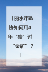 丽水市政协如何用4年“碳”讨“金矿”？